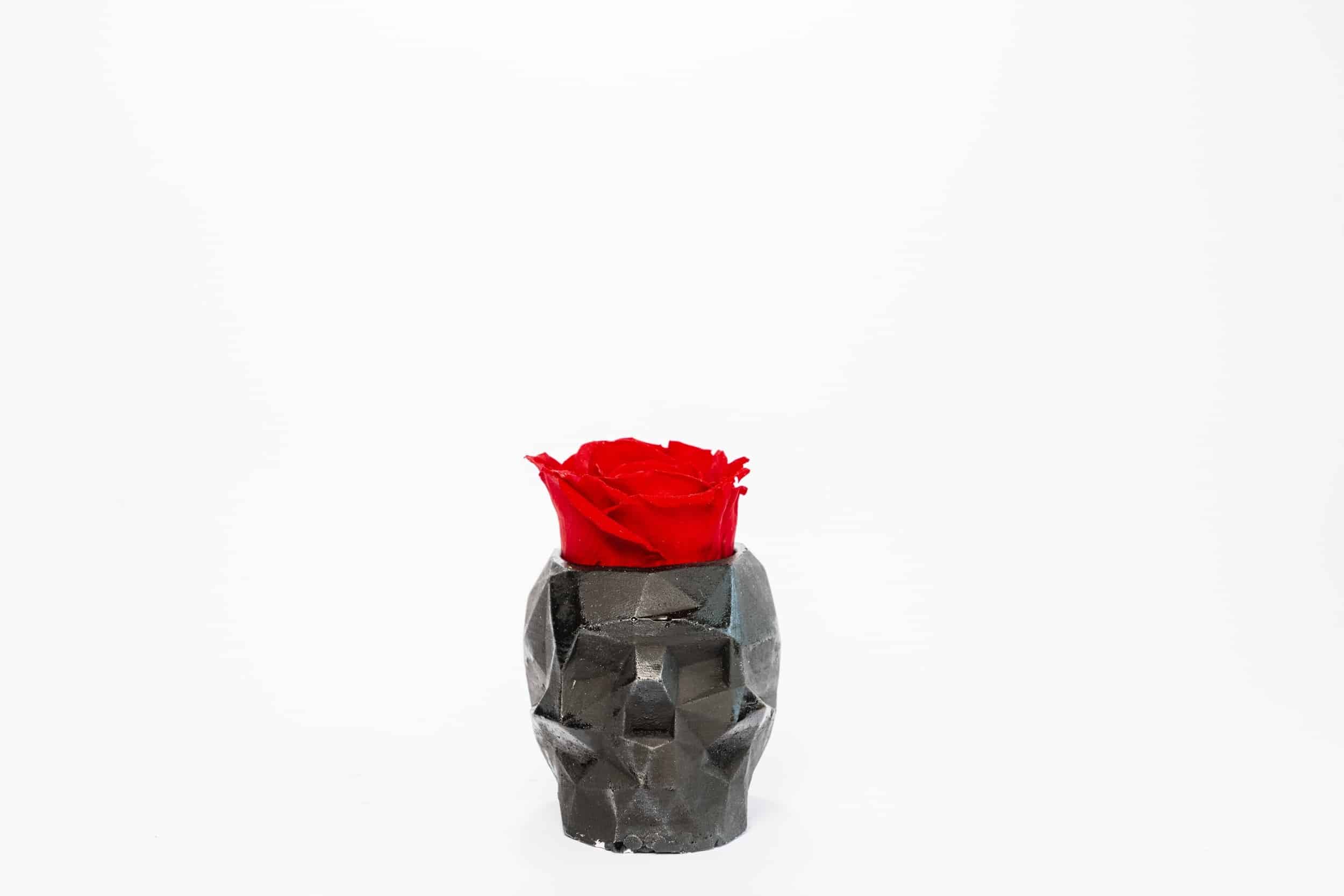Betonová váza ve tvaru 3d lebky s růží