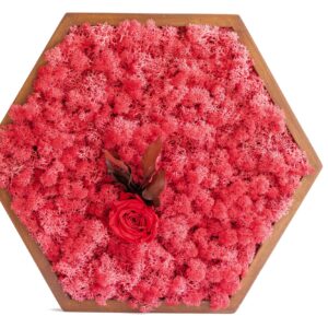 Hexagon Šestiúhelník obraz s sobí mech (lišejníkem) a růží