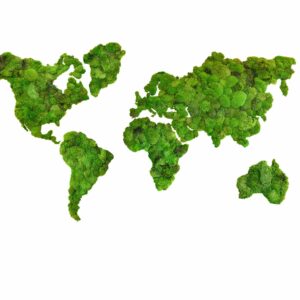 Mapa světa z kulatého mechu – kopečkový mech