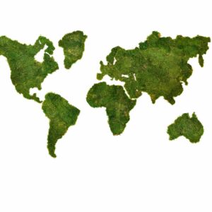 Mapa světa z mechu plochý mech