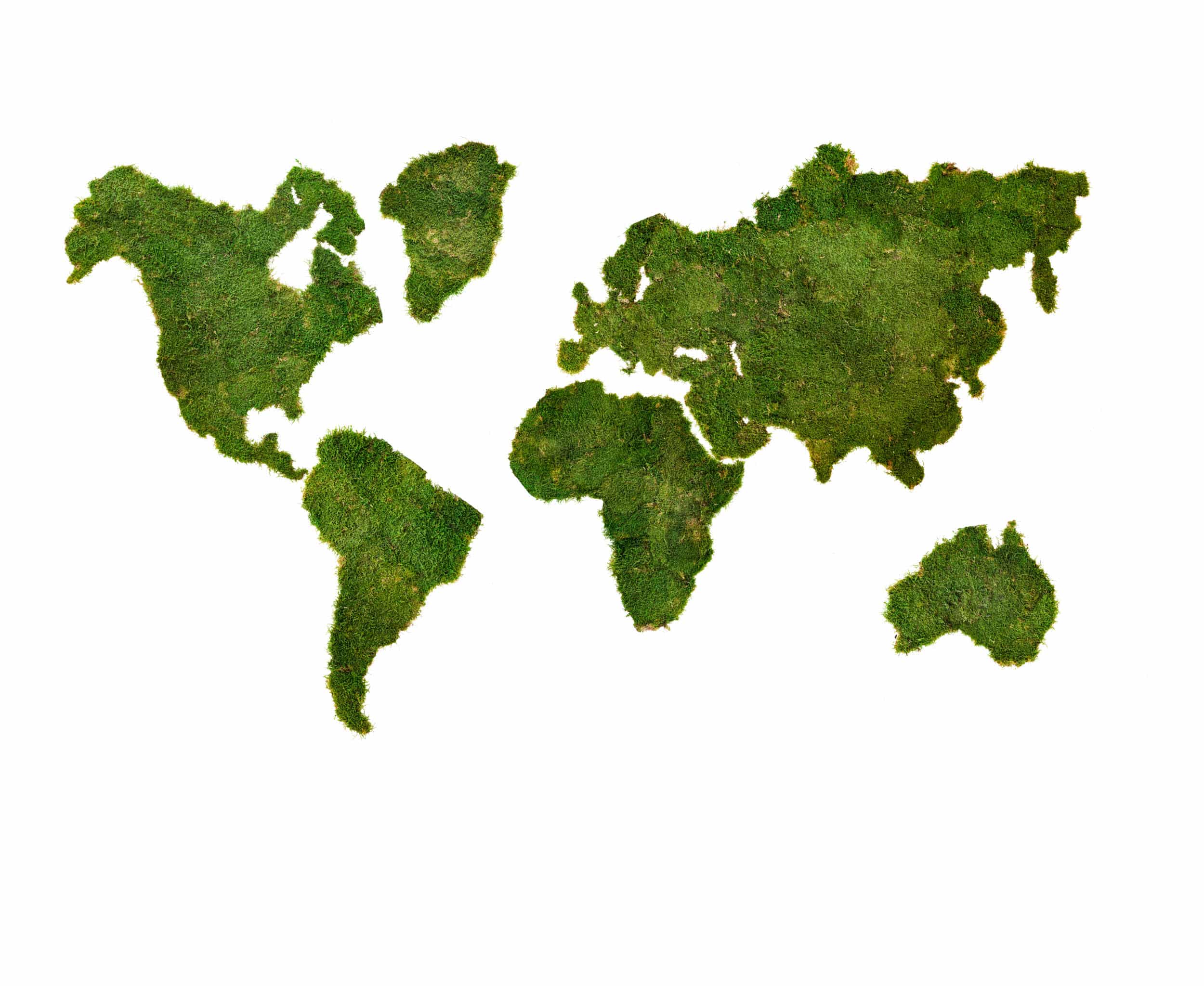 Mapa světa z mechu plochý mech