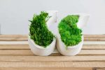 Betonová váza yin yang s kopečkovým a provence mechem