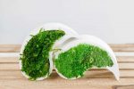 Betonová váza yin yang s kopečkovým a provence mechem