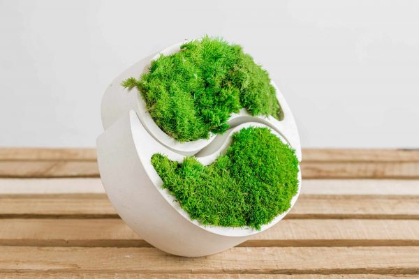 Betonová váza yin yang s kopečkovým a provence mechem
