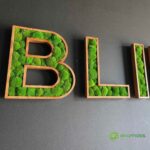 3d logo z machem jméno s ozdobnými písmeny logo společnosti firmy