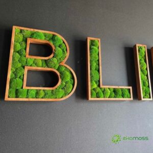 3d logo z machem jméno s ozdobnými písmeny logo společnosti firmy
