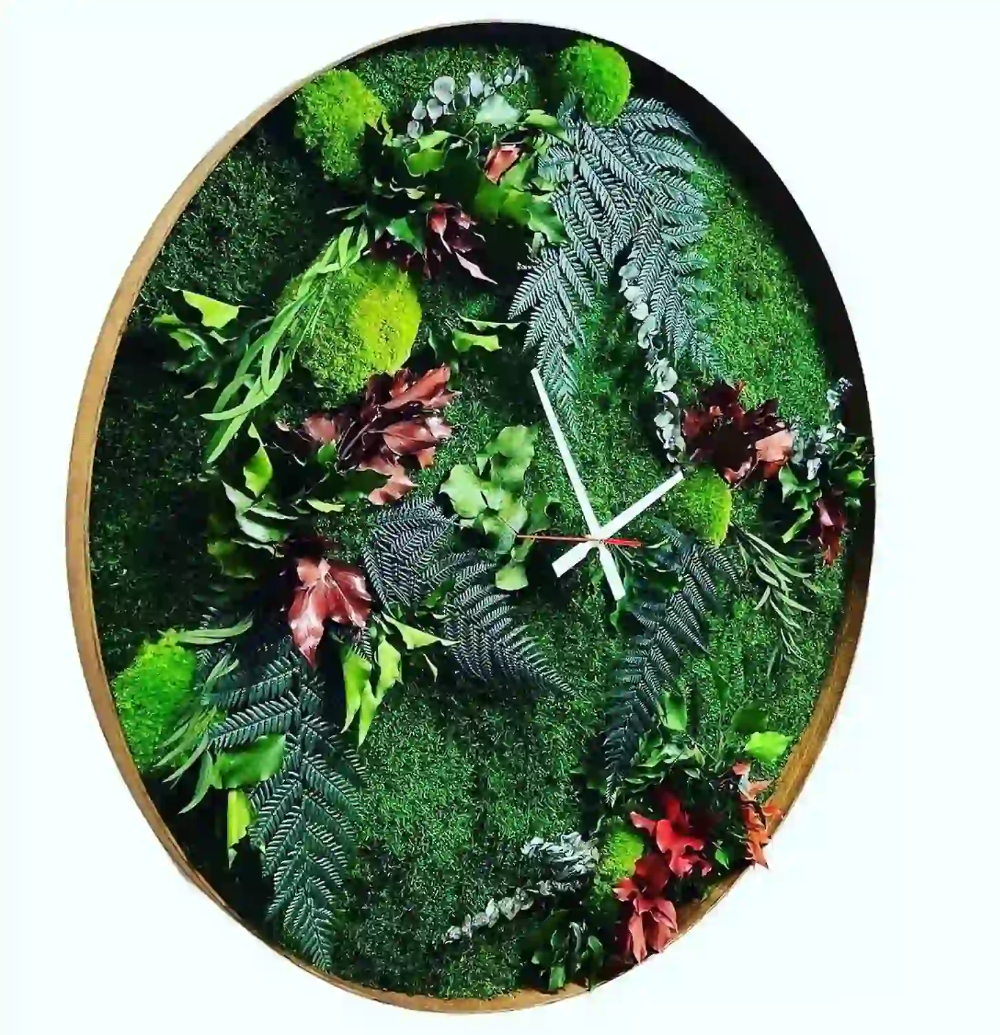 305699151_421378193313670_3484177634592567508_n_result Runde Wanduhr mit Moos und Pflanzen im Dschungel-Design mit Holzrahmen