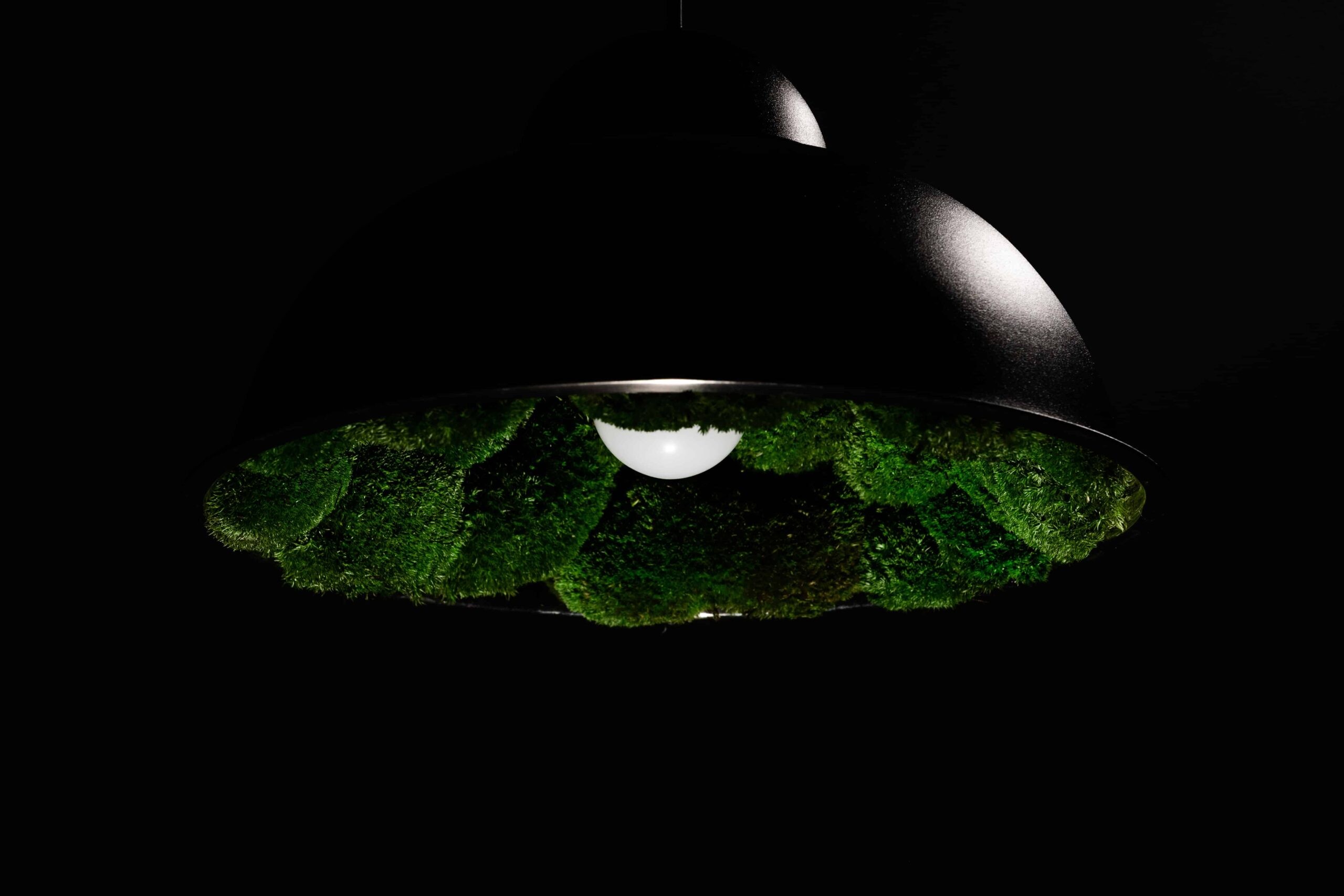 Závěsná lampa s mechem
