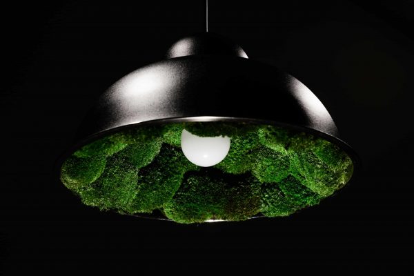 Závěsná lampa s mechem