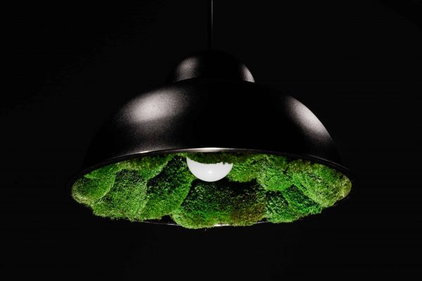 Závěsná lampa s mechem