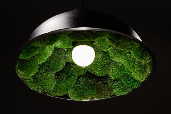 Závěsná lampa s mechem