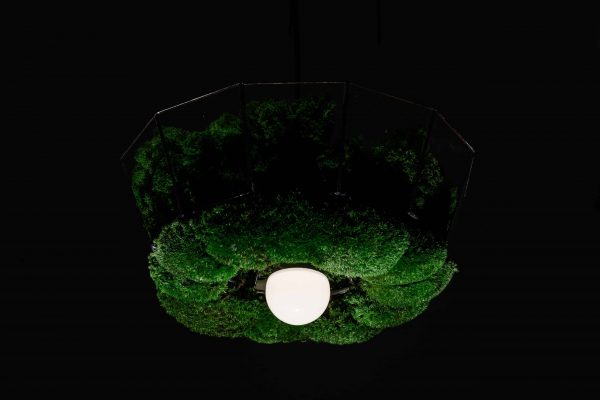 Závěsná lampa v provedení sobí mechu a kopečkovým mechem
