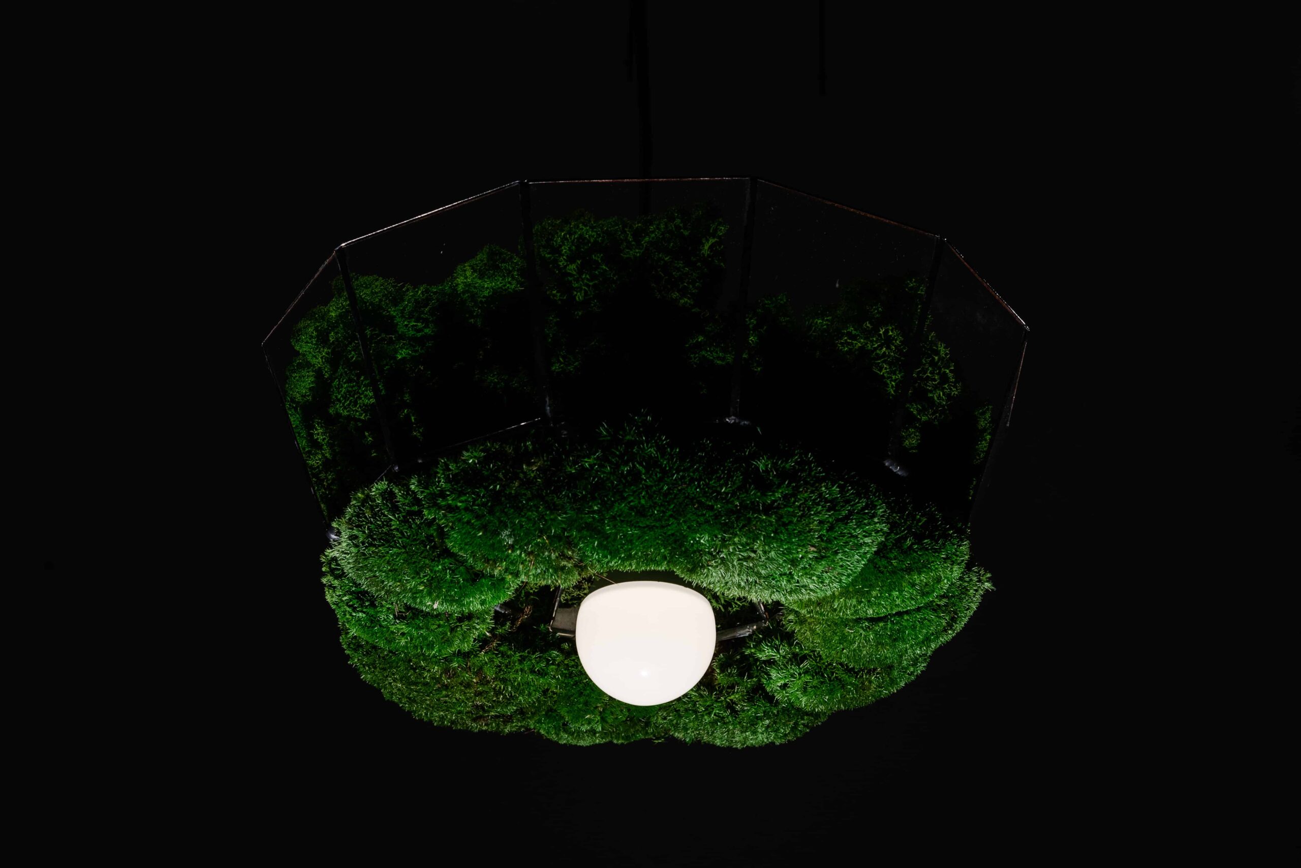 Závěsná lampa v provedení sobí mechu a kopečkovým mechem