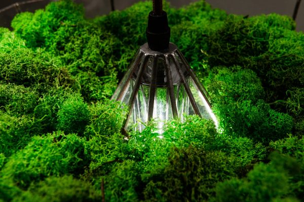 Závěsná lampa v provedení sobí mechu a kopečkovým mechem