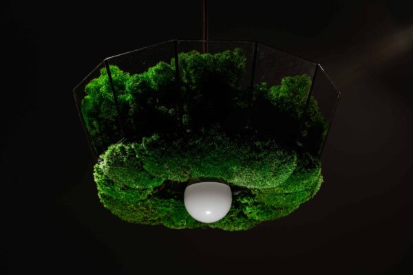 Závěsná lampa v provedení sobí mechu a kopečkovým mechem