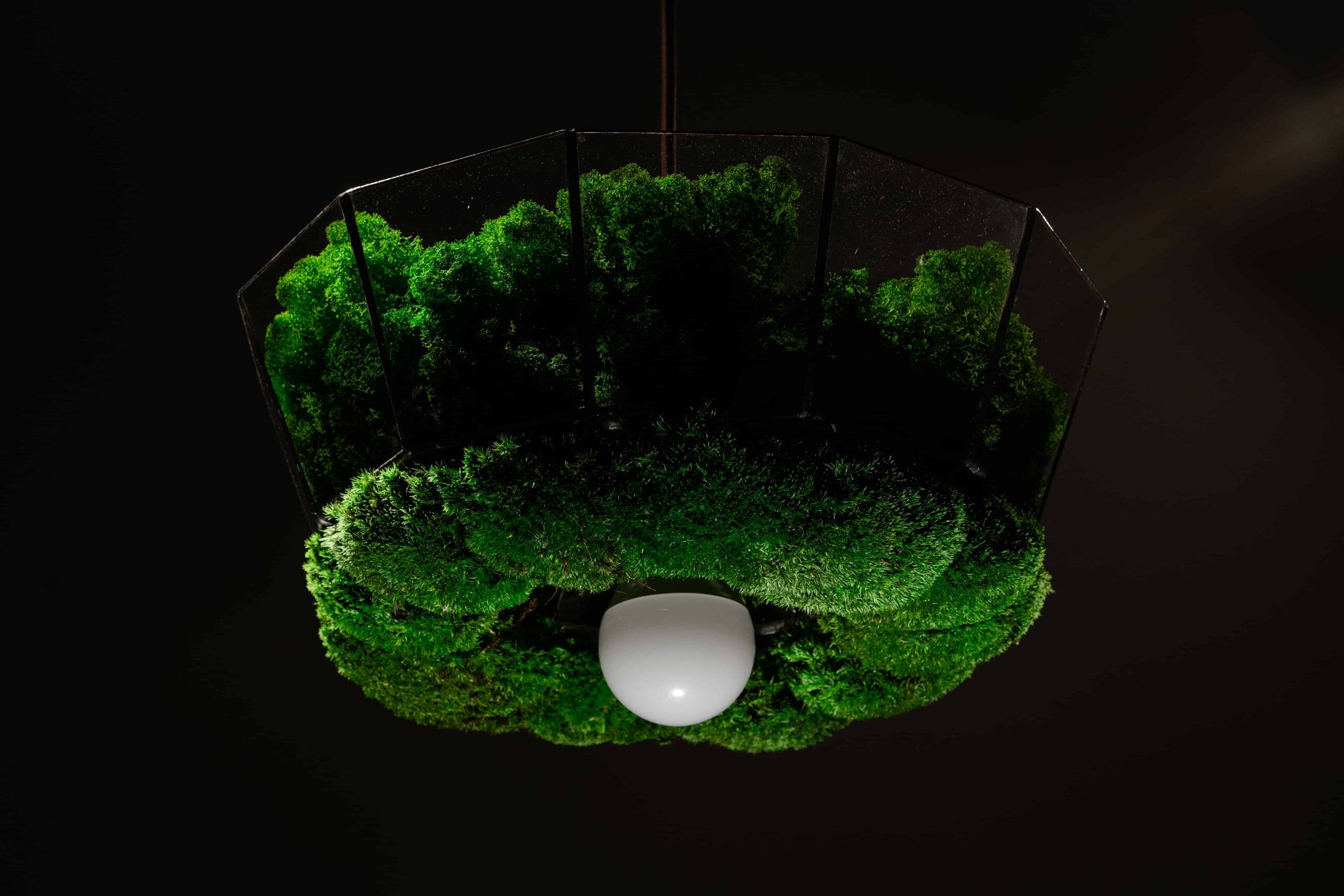 Závěsná lampa v provedení sobí mechu a kopečkovým mechem