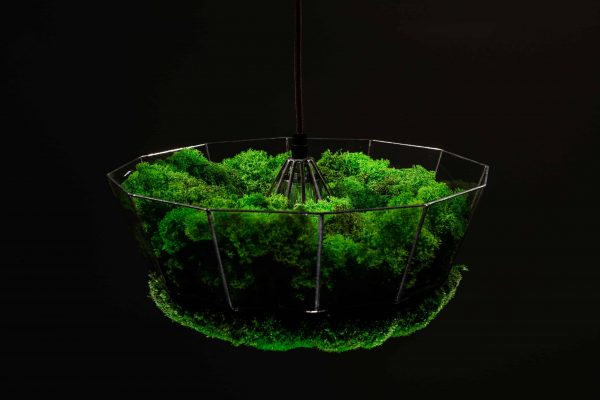 Závěsná lampa v provedení sobí mechu a kopečkovým mechem
