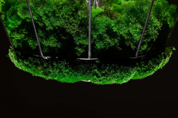 Závěsná lampa v provedení sobí mechu a kopečkovým mechem