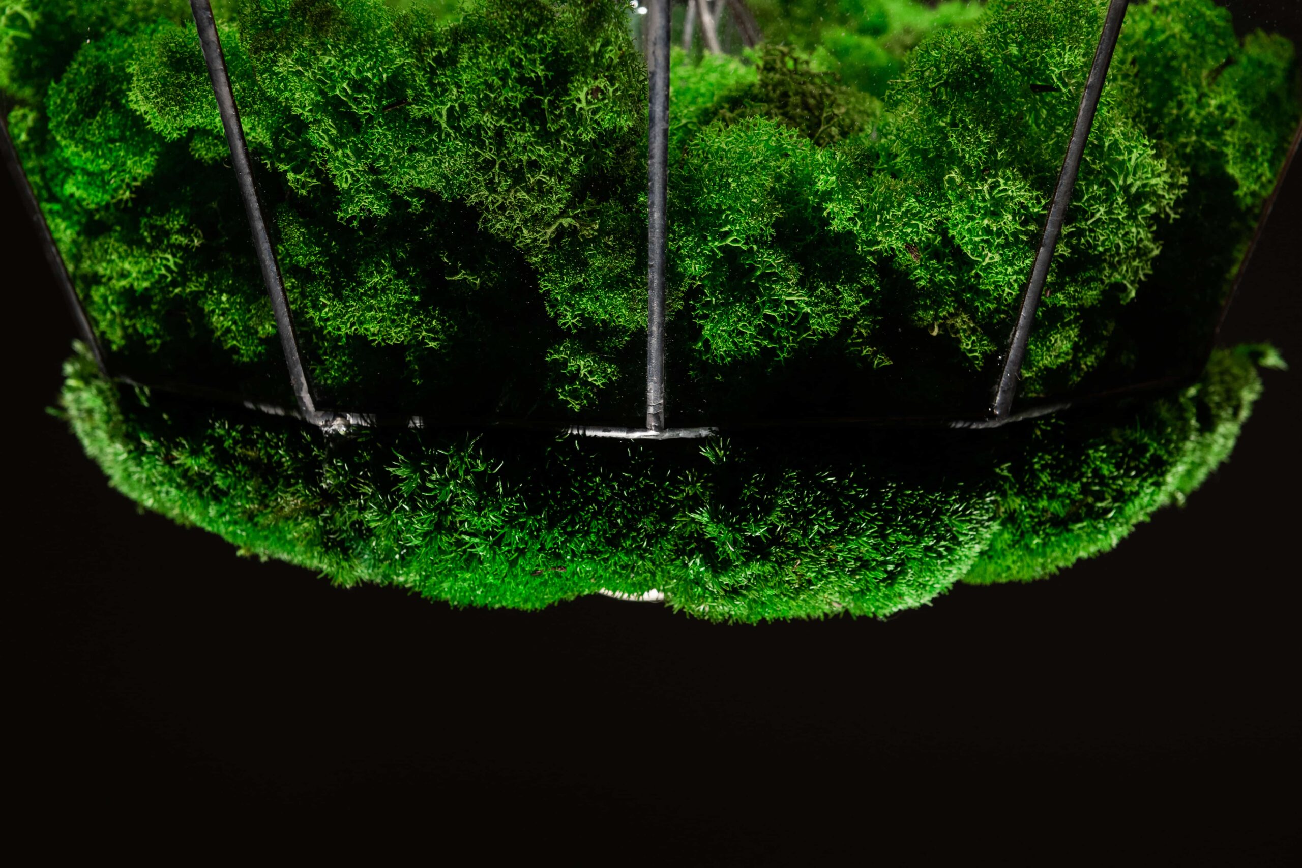 Závěsná lampa v provedení sobí mechu a kopečkovým mechem