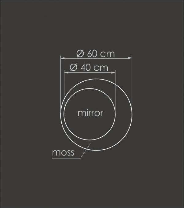 Ekomoss Mirror 01