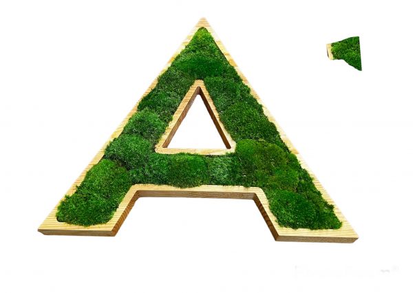 3d dřevěné písmena pro logo s provence mechu