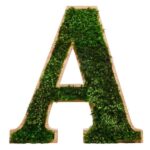 3d dřevěné písmena pro logo s provence mechu