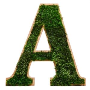 3d dřevěné písmena pro logo s provence mechu