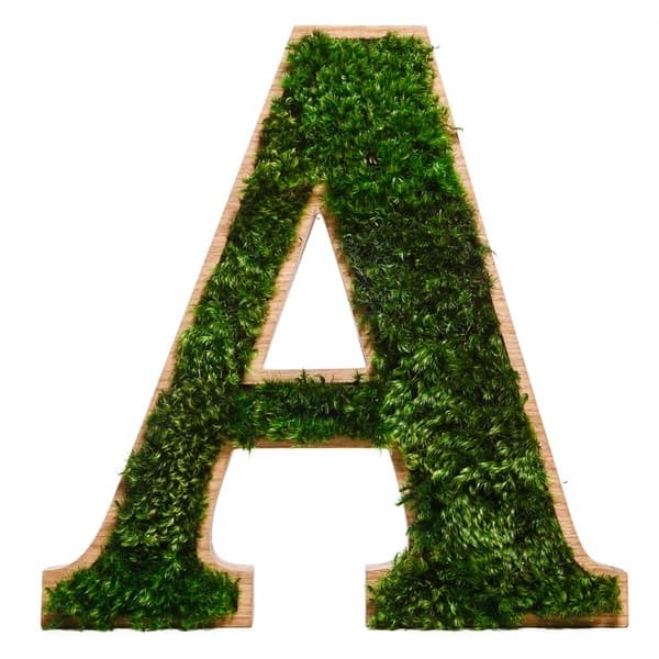 3d dřevěné písmena pro logo s provence mechu