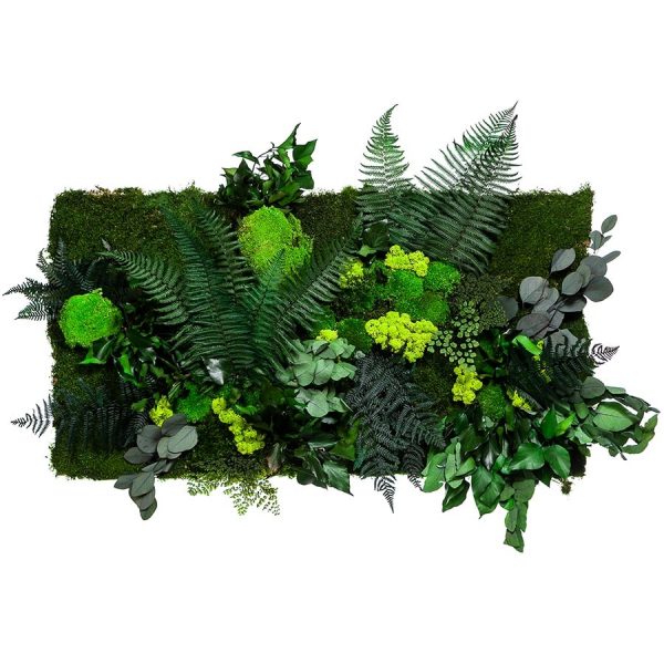 Obdélníkový obraz Jungle s stabilizovanými rostlinami