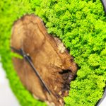 Hodiny s lišejníkem – sobí mech, a masivním dřevem – dub