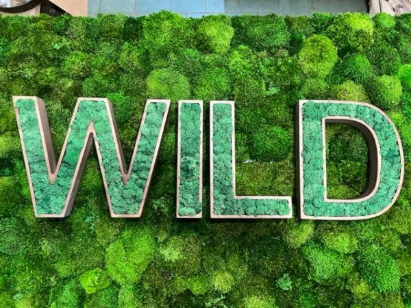 3d dřevěné písmena pro logo s provence mechu