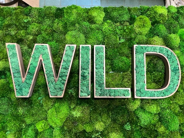 3d dřevěné písmena pro logo s provence mechu