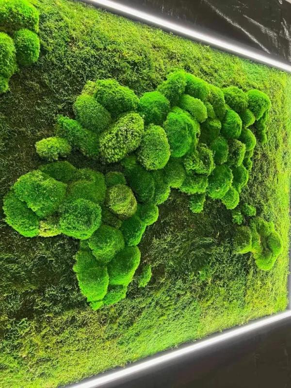 Mechový obraz mapa světa z plochý a kopečkový mech s podsvícením