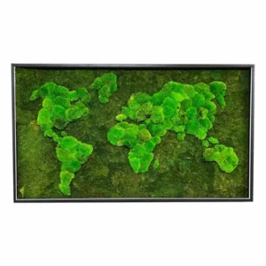 Mechový obraz mapa světa plochý mech a kopečkový mech