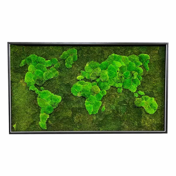 Mechový obraz mapa světa plochý mech a kopečkový mech