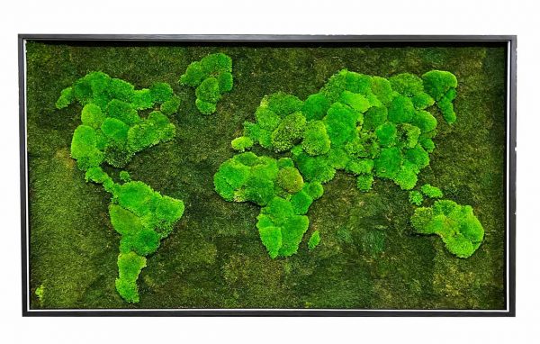 mapa sveta