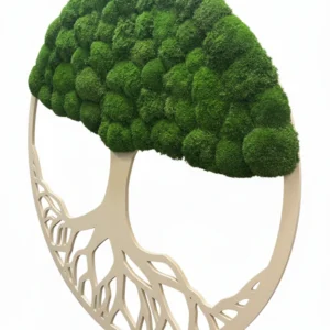 Moosbaum mit Kugelmoos. Baum des Lebens