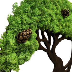 Moosbaum mit Islandmoos und Zapfen. Baum des Lebens