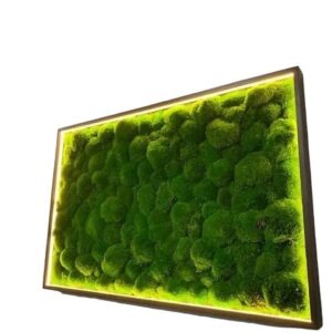 Mechový obraz s kopečkovým mechem a led osvětlením