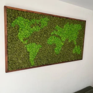 Mapa Světa z Sobí Mechu v Rámu