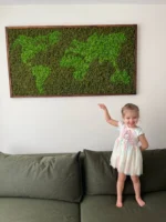 Mapa Světa z Sobí Mechu v Rámu