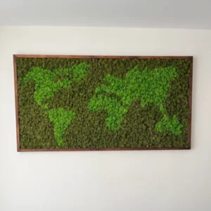 Mapa Světa z Sobí Mechu v Rámu
