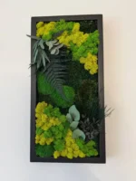 Set Mechových Obrazů s Rostlinami