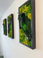 Set Mechových Obrazů s Rostlinami