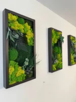 Set Mechových Obrazů s Rostlinami