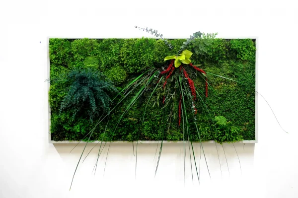 Dekoratívní Mechový Obraz s Rostlinami