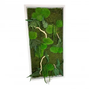 Dekoratívní Mechový Obraz s Dřevem Rostlinami a Podsvícením