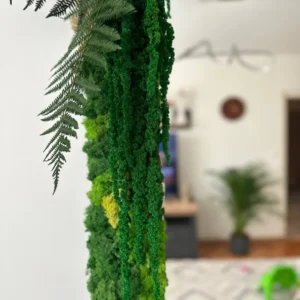 Mechové zrcadlo s Sobi Mech (Lišejník) a Rostlinami