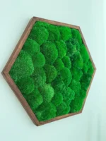 Hexagon Mechový Obraz s Kopečkovým mechem