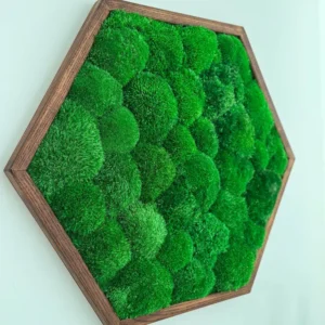 Hexagon Mechový Obraz s Kopečkovým mechem